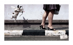 SPCA: Street