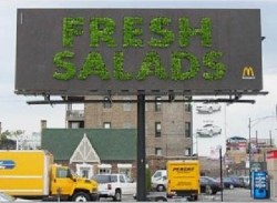 McDonalds Salads: Fresh Salad