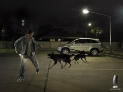 ABT Car Alarms: Guard Dogs, Cop, Guards