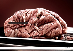 BePerfect, Esthetic clinic: Brain