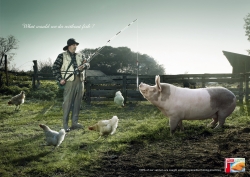 Frozen food: Responsible Fishing