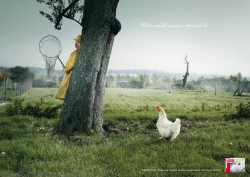 Frozen food: Responsible Fishing