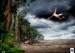 WWF: Tarzan