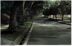Toyota Anti-Drink Driving Message: Tree
