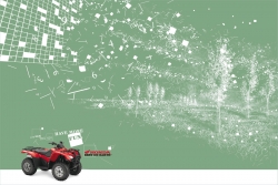 Honda TRX: Forest
