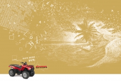 Honda TRX: Beach