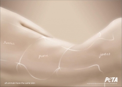 PETA: Peta - skin