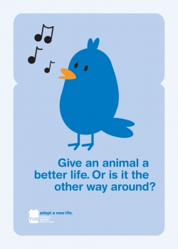 Toronto Humane Society: adopt a Life