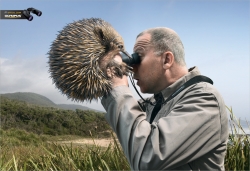 Olympus Binoculars: Echidna