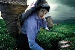 Association of Women Against Genital Mutilation: Plastic Dolls