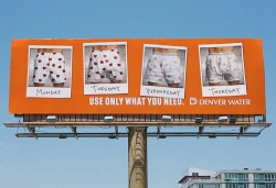 Denver Water: Boxers