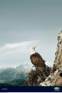 Defender: Eagle