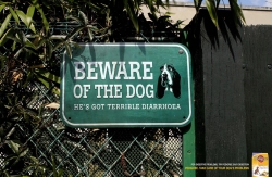 Pedigree Dentastix: Diarrhoea