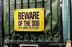 Pedigree Dentastix: Explode