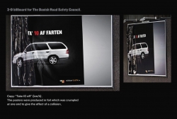 Danish Road Safety Council: 3-D