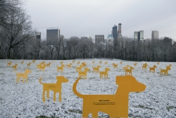Pedigree: Dog Adoption Drive 2008
