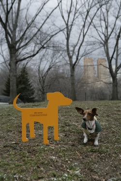 Pedigree: Dog Adoption Drive 2008