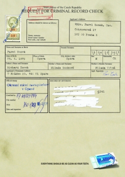 Orbit Professional: Criminal Record