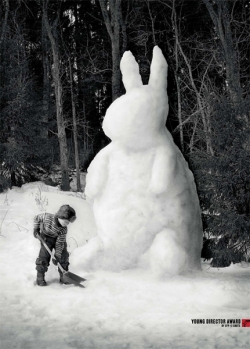 Young Direct Award by CFP-E: Bunny