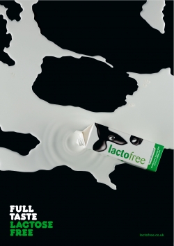 Lactofree: Spilled Milk