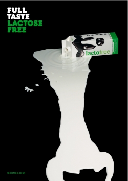 Lactofree: Spilled Milk