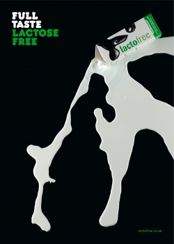 Lactofree: Spilled Milk