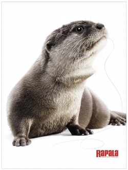 Rapala: water mongoose