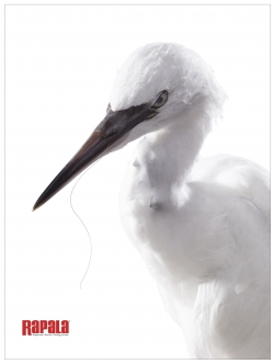 Rapala: white crane