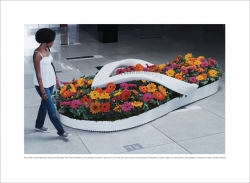 Havaianas: Flower Beds