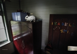 Animal Welfare: Pets are not toys