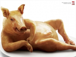 Rachachuros Seasoning: Pig
