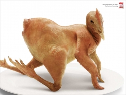 Rachachuros Seasoning: Chicken