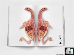 WMF Knife: Chicken