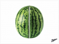 Ziploc: Ziploc