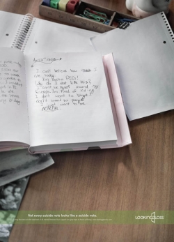 The Looking Glass Foundation: Diary