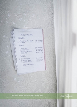 The Looking Glass Foundation: Meal Plan