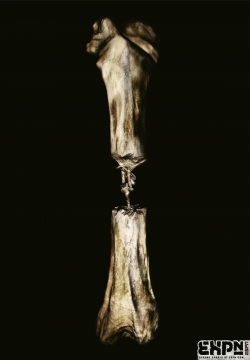 EXPN: Bones