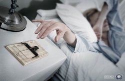 SEIKO Alarm Clock: Awake!