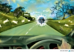 Rodney District Council Road Safety: Cyclist