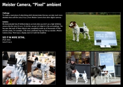 Leica D-Lux 3: Pixel