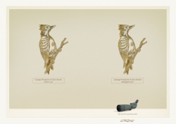 Ultraoptec spotting scopes: Woodpecker