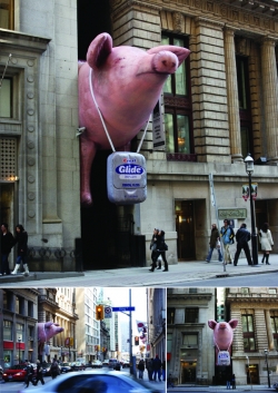 Glide Dental Floss: Pig