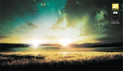 Nikon Flashlight: Farm