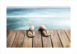 Scholl: Mountain, Drain, Sea