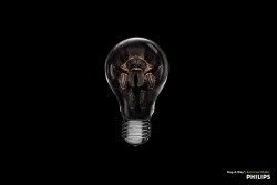 Bug-A-Way Light Bulbs: Spider, Bird, Frog