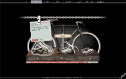 IRO Cycle: IRO Cycle