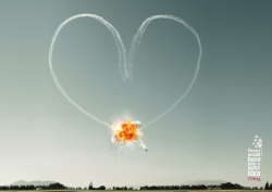 Flowers: Planes