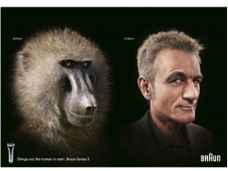 Braun: Evolution