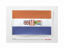 cape argus: xenophobia