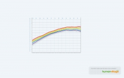 Human Village: Rainbow